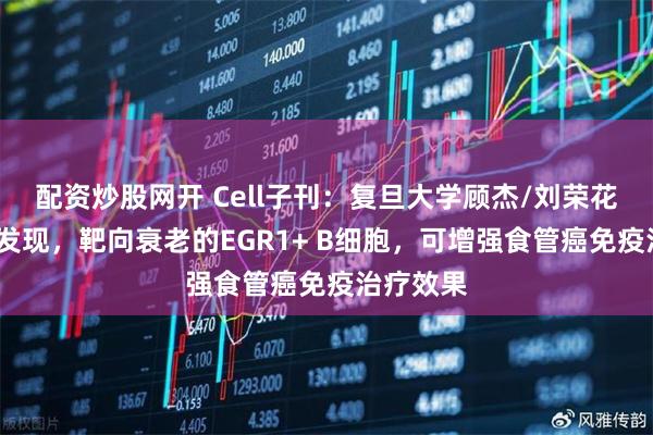 配资炒股网开 Cell子刊：复旦大学顾杰/刘荣花/葛棣等发现，靶向衰老的EGR1+ B细胞，可增强食管癌免疫治疗效果