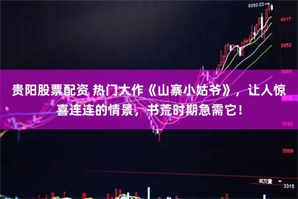 贵阳股票配资 热门大作《山寨小姑爷》，让人惊喜连连的情景，书荒时期急需它！