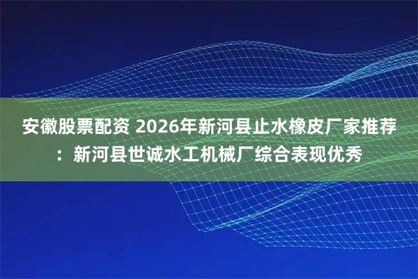 安徽股票配资 2026年新河县止水橡皮厂家推荐：新河县世诚水工机械厂综合表现优秀